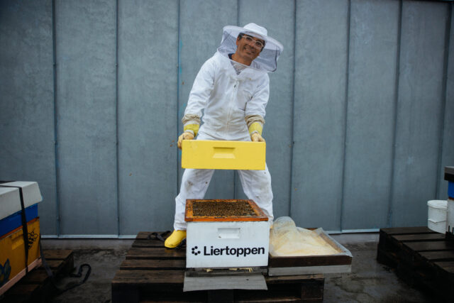 Produserte 270 kilo honning på takene av Citycon-sentrene