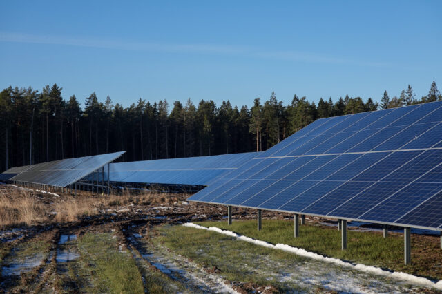 Aneo setter første storskala solpark i drift
