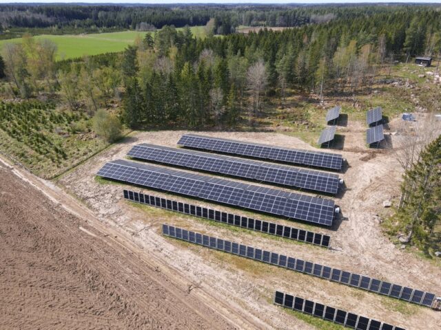 Kombinerer beite av geiter med solenergi