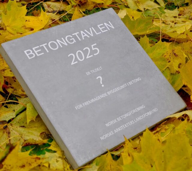 Hvem vinner Betongtavlen 2025?