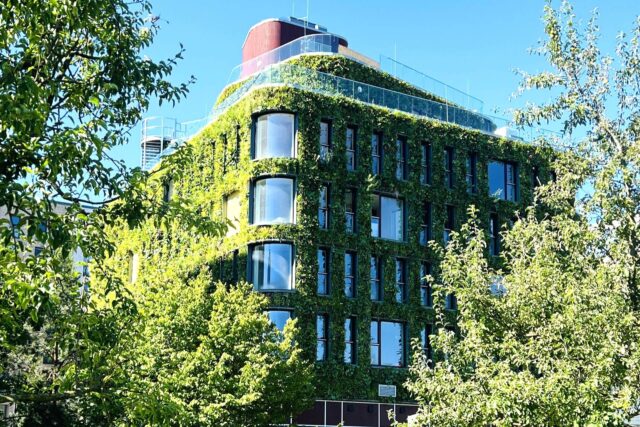 Danske arkitekter hedret for gigantisk «fuglerede» i Tyskland