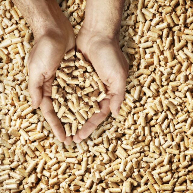 – Trepellets er et smart grep for lavere CO₂-utslipp fra asfaltproduksjon