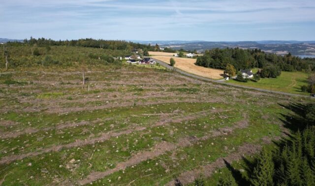 Solkraftverk skal gi samdrift mellom energiproduksjon og landbruk